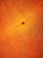 /album/galleria-foto-opere-di-pittura/55-la-terra-e-il-seme-tecn-mista-60x80-1992-jpg/